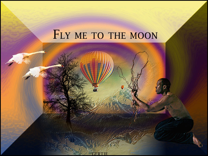 Flymetothemoon